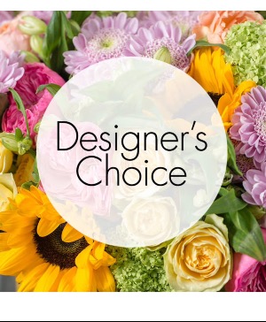 Designer Choice  