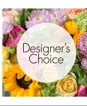 Designer Choice 