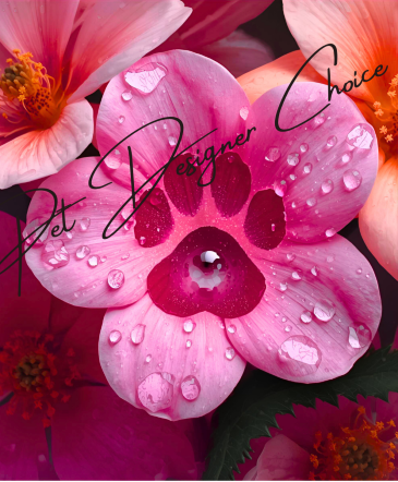 Designer Choice For our Pet in Burlington, NC | STAINBACK FLORIST & GIFTS LLC