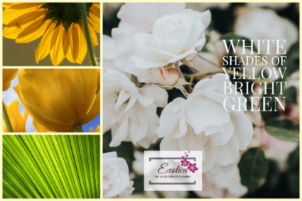 Summer Fun Designer Choice- Vase Arrangement