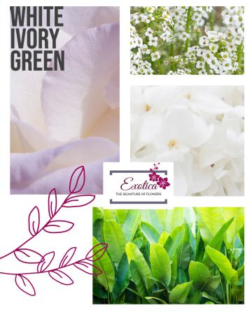 Peaceful Comfort Designer Choice- Vase Arrangement