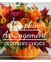 Designer choice pumpkin local delivery mesa 