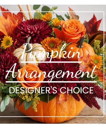 Designer choice pumpkin local delivery mesa  in Apache Junction, AZ | No Reason Why Flowers