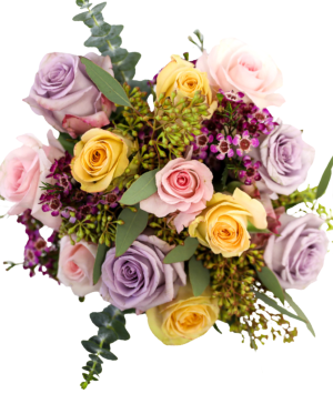 Designer Dozen Bouquet
