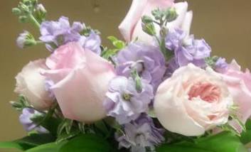Designers Choice  in Tottenham, ON | TOTTENHAM FLOWERS & GIFTS