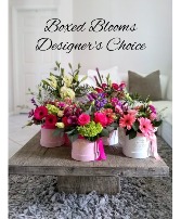 Flowerbox Arrangement 