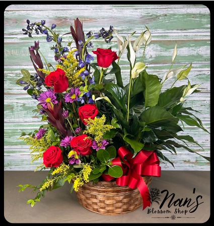 Designers choice 6 " plant  with fresh flower arrangement