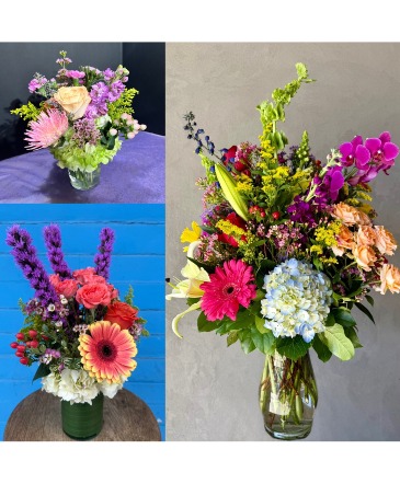 Designer's Choice!  in New Orleans, LA | HARKINS THE FLORIST