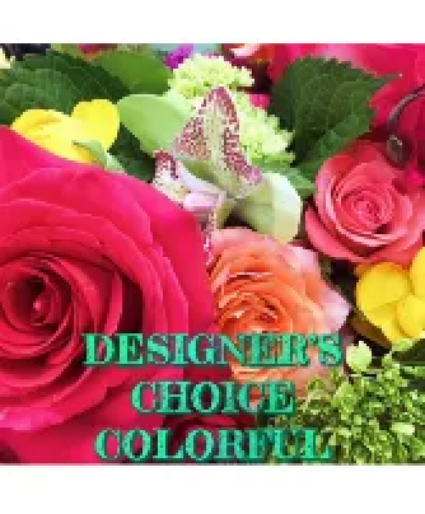 Designers Choice 