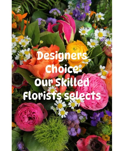 Designers Choice 