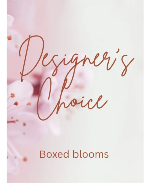 DESIGNER'S CHOICE  