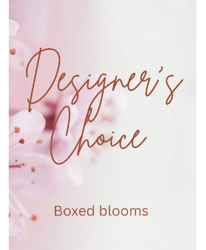 DESIGNER'S CHOICE  