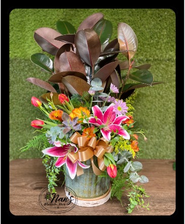 DESIGNER'S CHOICE 8" Plant with Arrangement  in Bryan, TX | NAN'S BLOSSOM SHOP