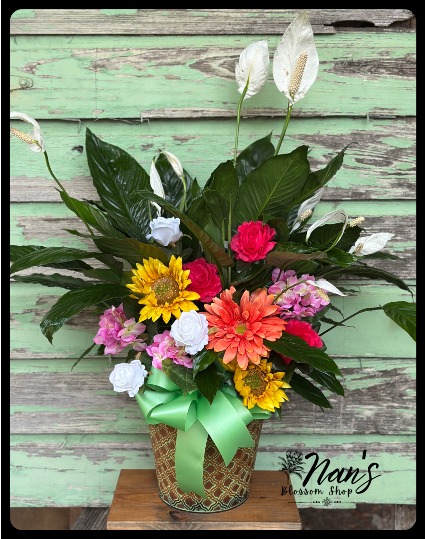Designer's Choice 8" Plant with Artificial Arrangement