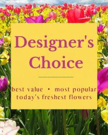 Designer's Choice Arrangement