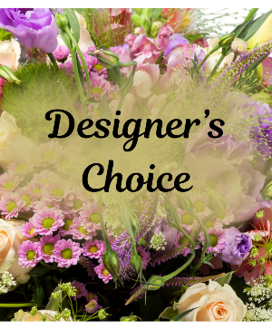 Designer's Choice  Arrangement 