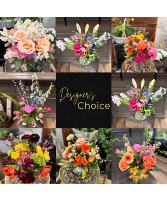 Designer's Choice Arrangement 