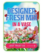 Designer's Choice Arrangement Flower Arrangement