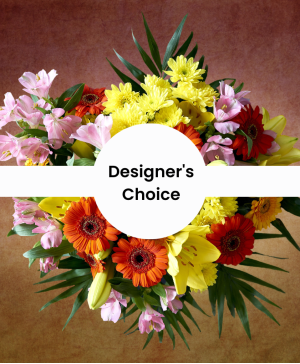 Designer's Choice Arrangement Funeral