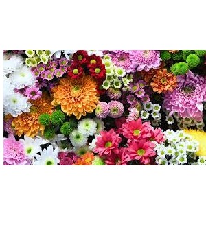 Designer's Choice Basket  Fresh Arrangement 