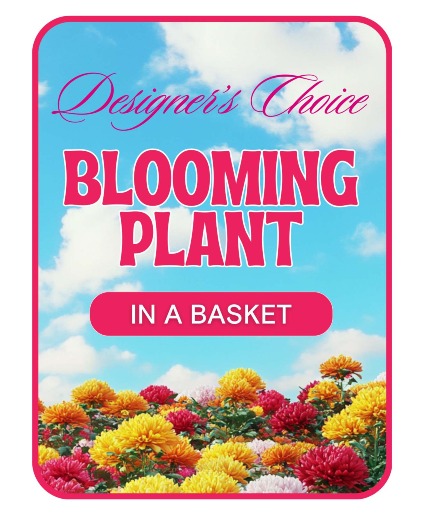 Designer's Choice Blooming Plant Flower Arrangement