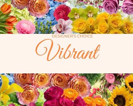 Designers Choice  Bold and Vibrant 