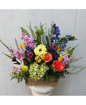 Designer's Choice Box Arrangement Colorful Mix of Flowers