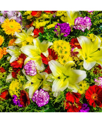 Designers' Choice- Bright and Cheerful FC-BC