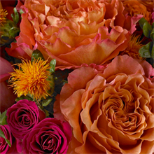 Designers Choice Bright and Cheery in Fairfield, CT | Blossoms at Dailey's Flower Shop