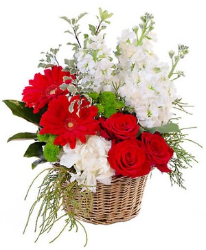 Designer's Choice - Christmas Basket Arrangement
