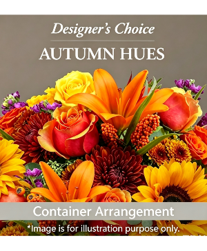 Designer's Choice Container Arrangement  