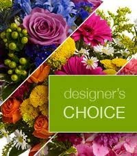 Designers Choice Designers Choice in Fairfield, CT | Blossoms at Dailey's Flower Shop