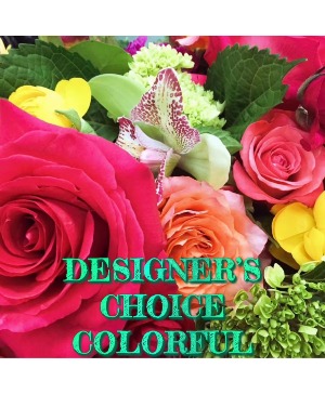 Designers Choice Designer's Choice