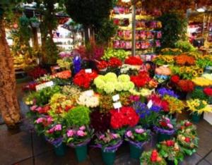 Designer's Choice The Freshest Market Flowers Arranged 