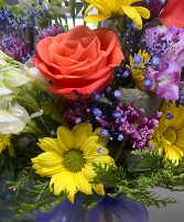 Designers choice HCF Mixed