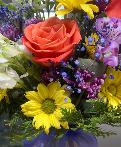 Designers choice HCF Mixed