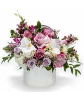 Designers Choice Hotbox arrangement  Arrangements