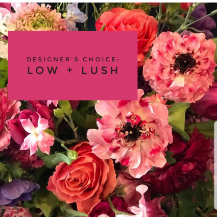 Designers Choice Low + Lush  Unique Vase Arrangement 