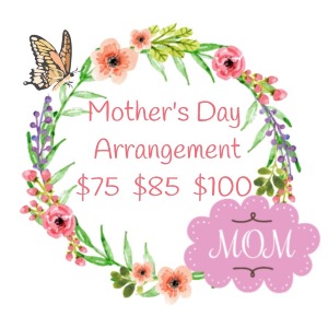 Designer's Choice Mixed Arrangement 