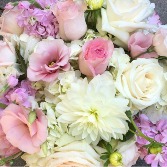 Designers Choice Pastel Mix Standard