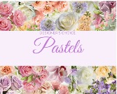 Designers Choice Pastels 