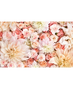 Designers' Choice- Pastels FC-PA