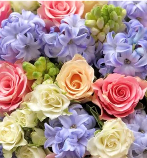 Designer's Choice - Pastels 