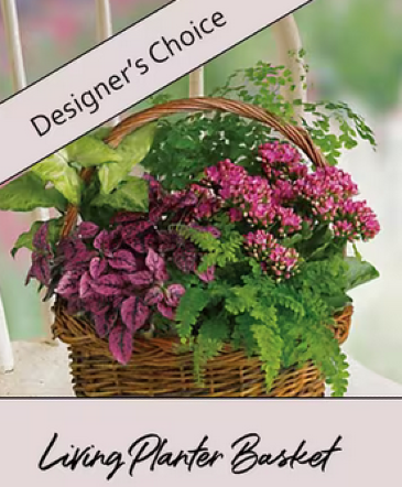 Designer's Choice Planter Basket in Searcy, AR | ARTISTIC FLORIST & GIFTS