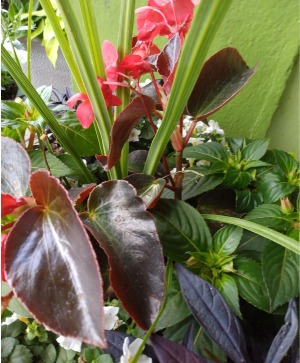 Designer's Choice Outdoor Variety Planter 
