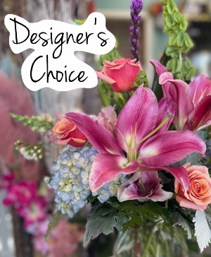 Premium Designer’s Choice 