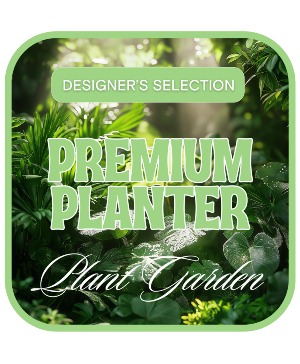 Designer's Choice Premium Planter Plant