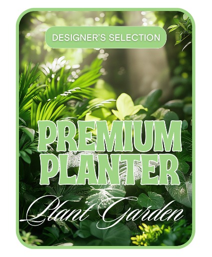 Designer's Choice Premium Planter Plants