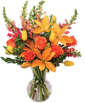 Designer's Choice - Seasonal Fall Large Size Arrangement in a Vase in Beloit, KS | Given Grace Floral & Decor
