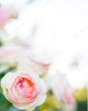 Designer's Choice Seasonal Flower Arrangement